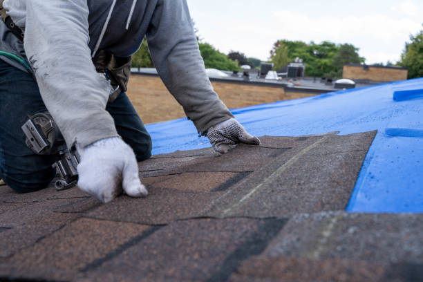 Best Residential Roofing Contractor  in Garrison, ND