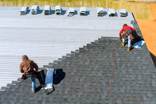 Best Roof Leak Repair  in Garrison, ND