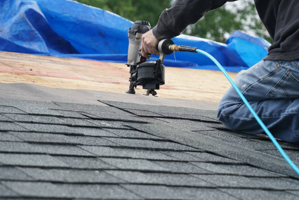 Best Shingle Roofing Installation  in Garrison, ND