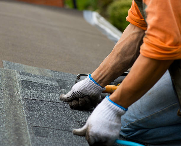 Best Local Roofing Companies  in Garrison, ND